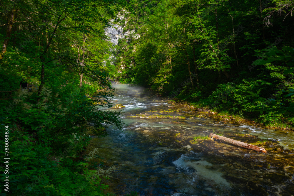 Vintgar gorge during a summer morning in Slovenia Vintgar gorge during a summer morning in Slovenia