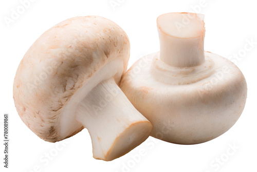 Champignon mushrooms isolated on white background.