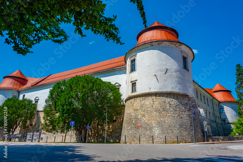 Brezice castle during a sunny day in Slovenia photo