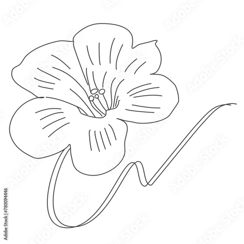 Flor silvestre trazo lineal 