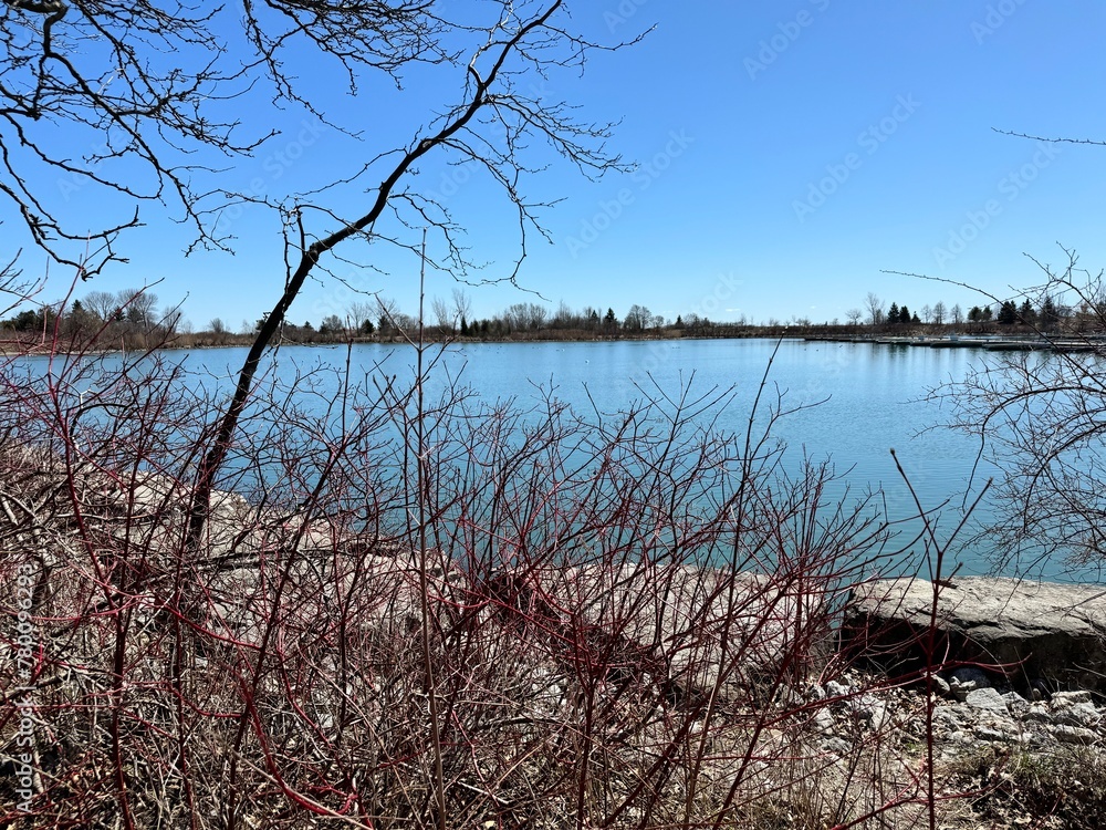 tree in the water. Tree fragments from water. Sea landscape with rocks. Blue sea water. Rocks under water tree in the water. Tree fragments from water. Sea landscape with rocks. Blue sea water. Rocks under water