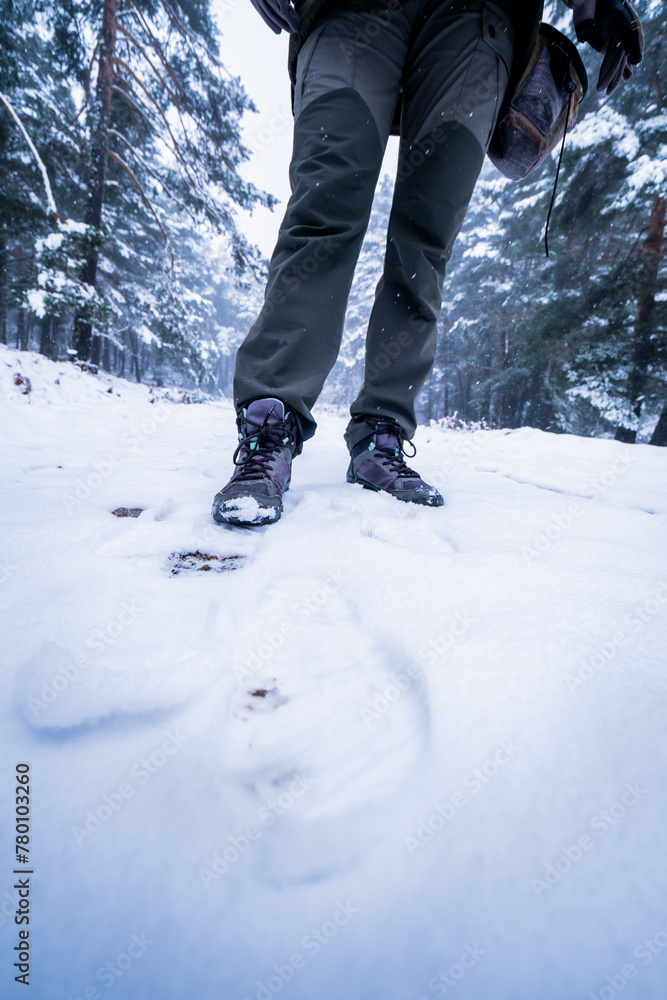 Snow-covered legs clad in mountain boots and pants, framed by towering pines, snowy landscape.