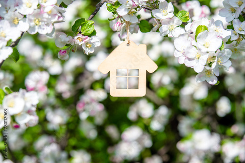 Symbol of the house on the branches of a flowering apple
 photo