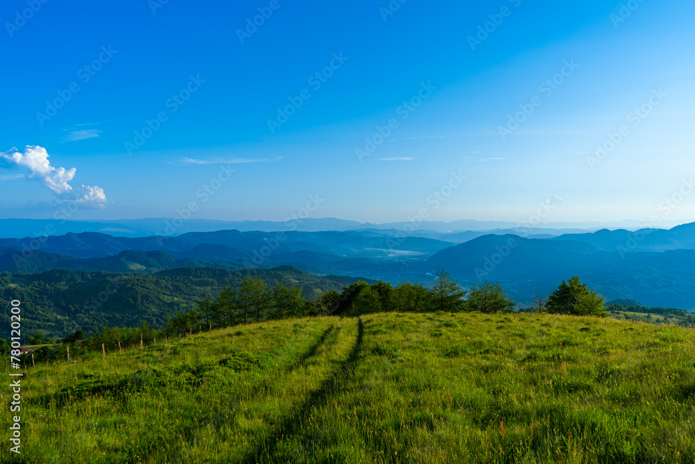 Fototapeta premium Carpathians mountains landscapes from green meadow on sunset, Apetska mountain, Ukraine
