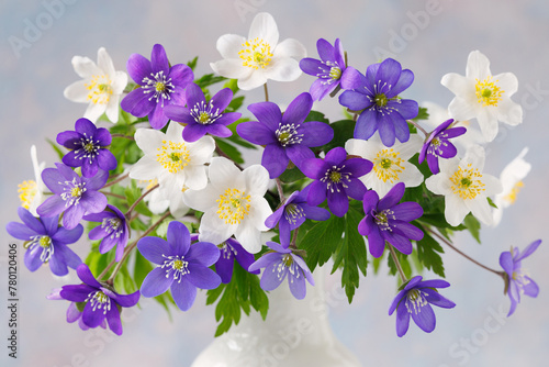 Spring flowers blue hepatica and white anemones in a vase, closeup, fragment. Beautiful card.