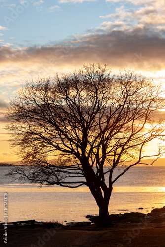 Hukodden Beach, Bygdøy peninsula, Norway