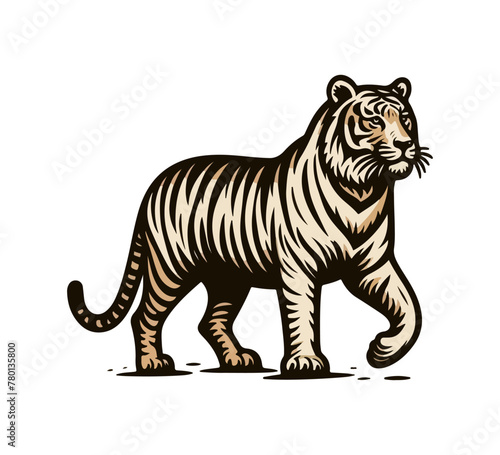 Sumatran tiger hand drawn vector illustration