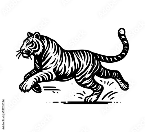 Sumatran tiger hand drawn vector illustration © AriaMuhammads