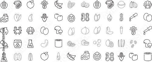 Nut icons set. Outline set of nut vector icons for web design isolated on white background
