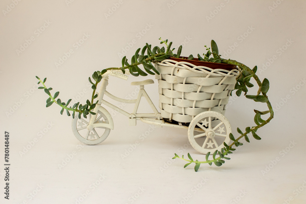 Vaso de bicicleta com planta em fundo branco