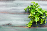 Bundle of fresh Italian flat leaf parsley herb over a painted background. Table top view. Overhead. Flatlay.