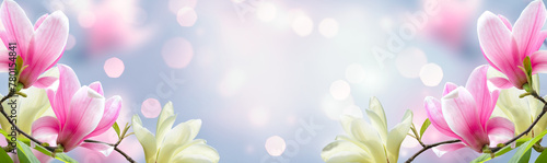 Magnolia flowers in spring fairy tale blooming garden on mysterious floral soft blue blurred background with sun light and bokeh, beautiful nature landscape, wide panoramic banner with copy space.