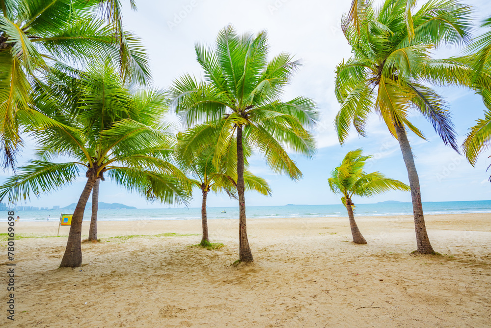 Coconut forest beach scenery at Coconut Dream Corridor in Sanya, Hainan, China Coconut forest beach scenery at Coconut Dream Corridor in Sanya, Hainan, China