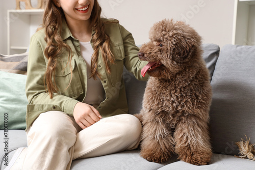 Cute poodle with owner sitt...