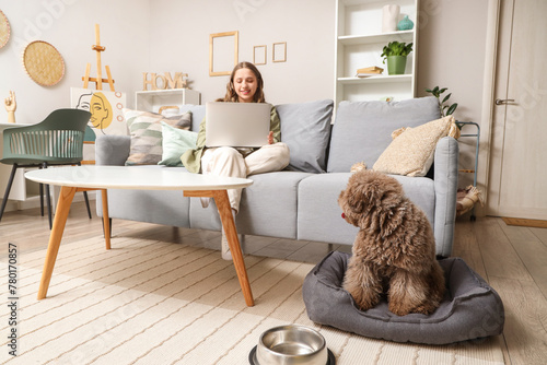 Cute poodle in pet bed and young woman with laptop on sofa at home