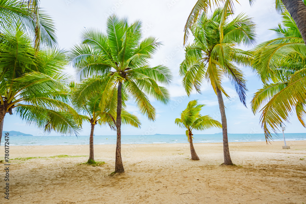 Coconut forest beach scenery at Coconut Dream Corridor in Sanya, Hainan, China Coconut forest beach scenery at Coconut Dream Corridor in Sanya, Hainan, China