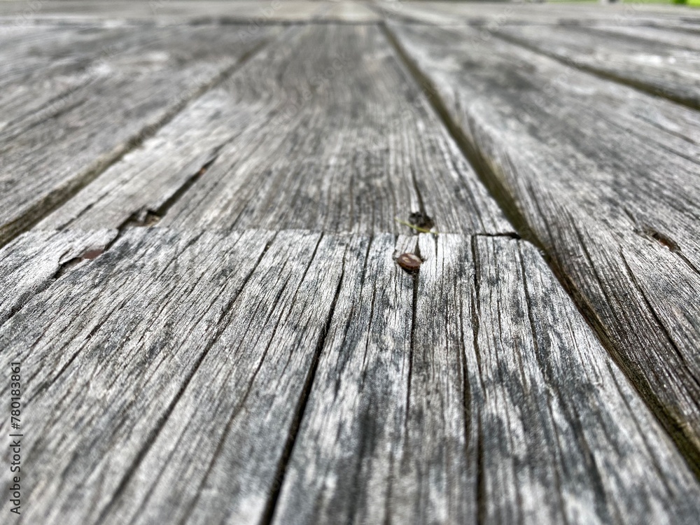 Obraz premium wood texture