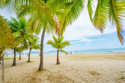 Fototapeta Naklejka Na Ścianę i Meble -  Coconut forest beach scenery at Coconut Dream Corridor in Sanya, Hainan, China