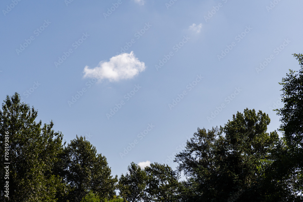 blue sky background with white clouds and green trees blue sky background with white clouds and green trees