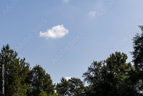 blue sky background with white clouds and green trees