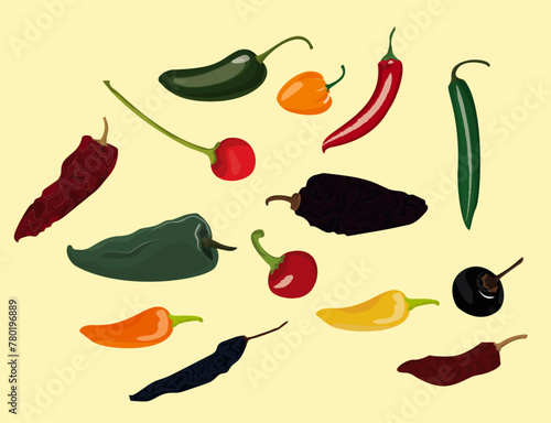 Vector illustration of MEXICAN CHILLIES. fresh chili and dried chili. Types of chili in Mexico. ,bell-pepper,habanero