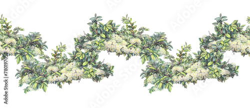 Seamless rim with watercolor bush with flowers on white background. Hand-drawn green plant with leaves and buds. Border with branch for invite wedding celebration and card. Wallpaper or wrapping
