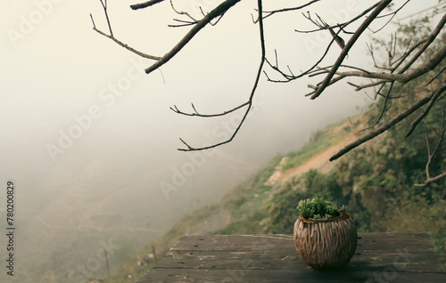Early foggy wintry morning scenery of the mountain landscape of Sa pa in Northern Vietnam seen from a wooden balcony ledge with a potted plant and overhanging bare branches photo