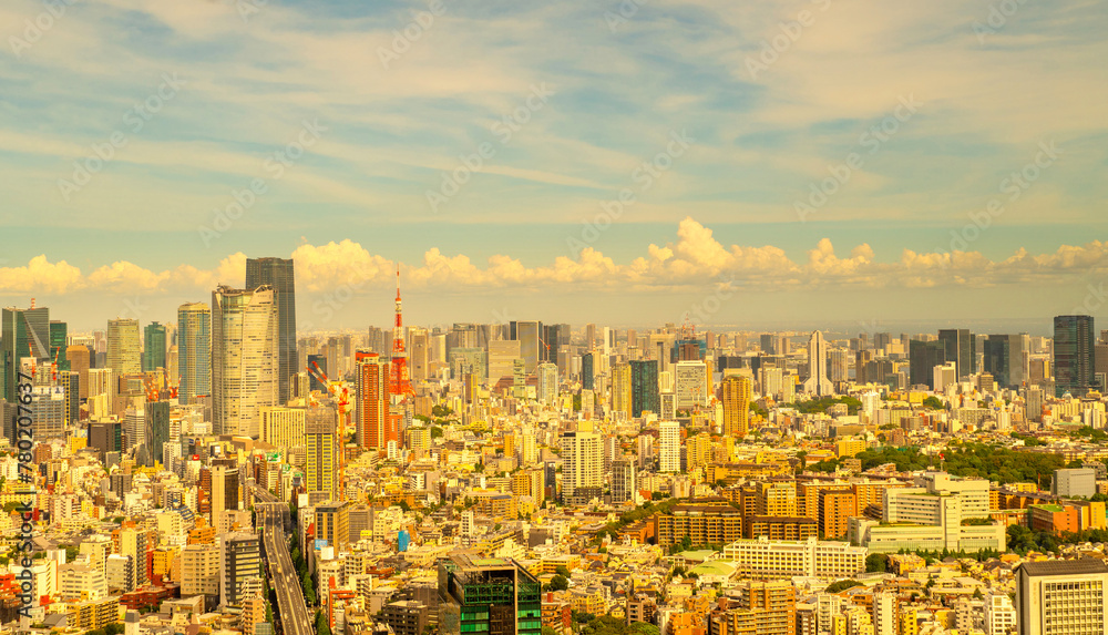 Obraz premium 東京夕景