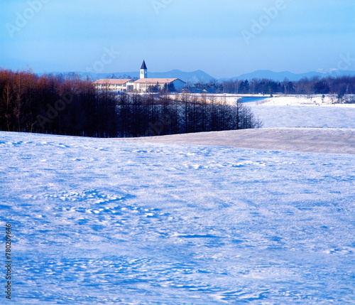 雪原の丘と塔(美瑛町）