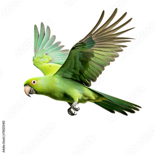 illustration of flying green parrot, Isolated on transparent PNG background, Generative ai
