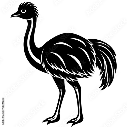 illustration of an ostrich,black emu silhouette vector illustration,icon,svg,bird characters,Holiday t shirt,Hand drawn trendy Vector illustration,emu on a white background photo