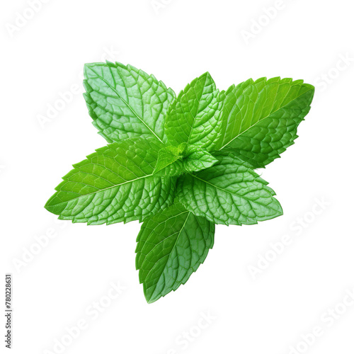 illustration of mint green view image, Isolated on transparent PNG background, Generative ai