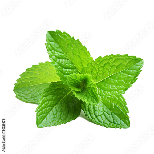 illustration of mint green view image, Isolated on transparent PNG background, Generative ai