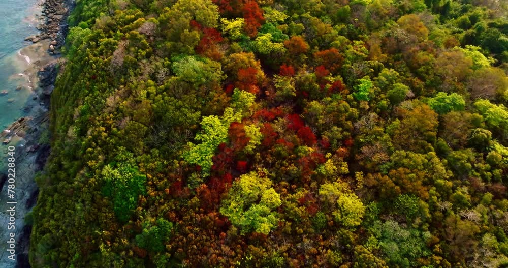 Aerial drone view of the rocky coastline cape with colorful trees and clear turquoise sea. Aerial drone view of the rocky coastline cape with colorful trees and clear turquoise sea.