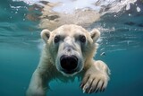 polar bear swimming in Arctic waters. sleekness of its fur against the icy blue sea, showcasing the bears adaptability to its marine environment