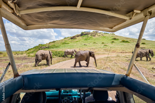 Canvas Print watching animals in wild inside a vehicle with an open roof