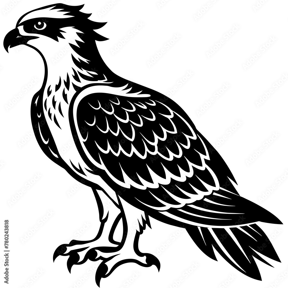 Fototapeta premium eagle silhouette vector illustration svg file