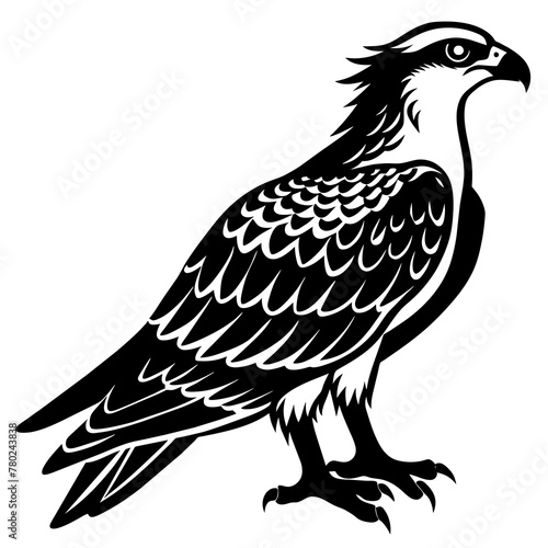 eagle silhouette vector illustration svg file