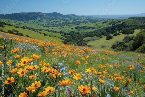 Orange wildflowers and blue blossoms blanket a hillside with a view of distant mountains and clear blue skies above.