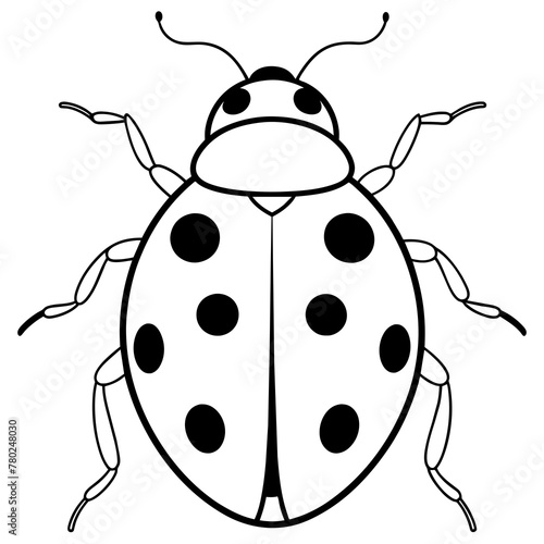 Lady Bug  Insects  Line Art Vector © Aynal