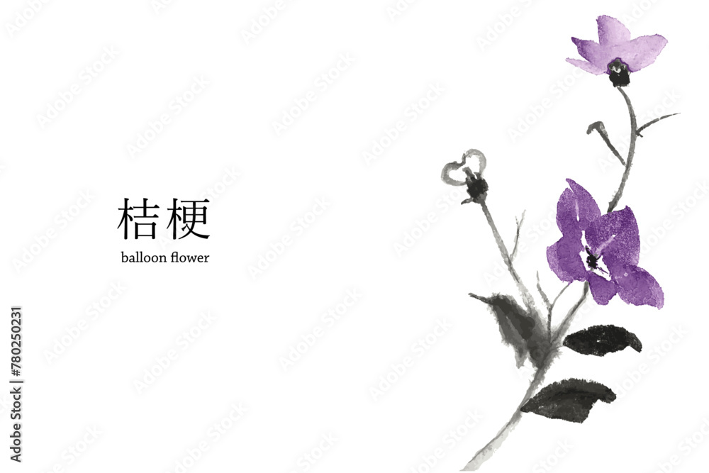 美しい桔梗の花の水彩風ベクターイラスト 美しい桔梗の花の水彩風ベクターイラスト