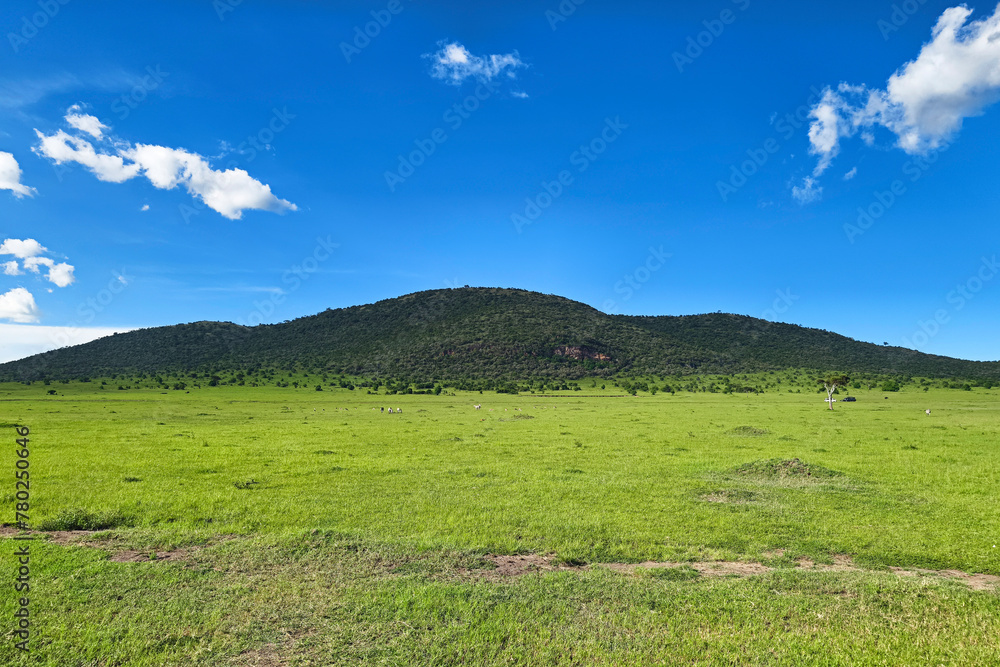 African landscape. The endless savanna is covered with green grass. Countless herds of herbivores graze. On the horizon is a mountain range. There are picturesque cumulus clouds in the sky. Kenya.