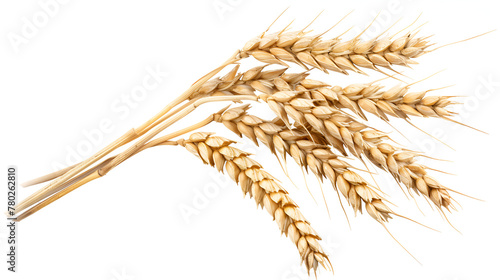 ear of wheat , generative ai
