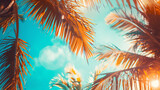 Photo of palm trees from below, illuminated by sunlight against blue sky. Summer background