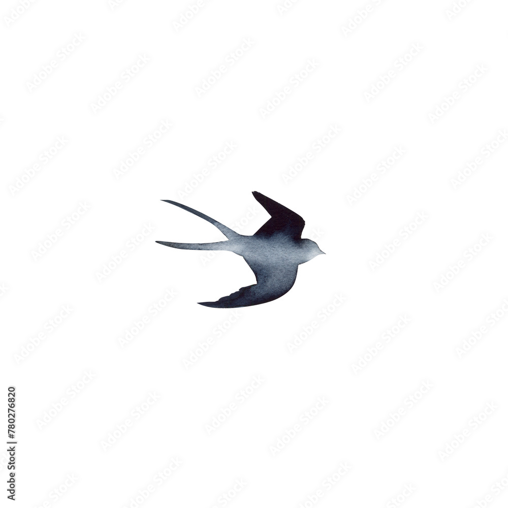 Obraz premium Swallow, martlet. Clear white sky, bird in natural habitat. Barn swallow flying, wings spread. Hirundo rustica on white background. Wildlife. Tattoo design, watercolor art, wild animals, free 