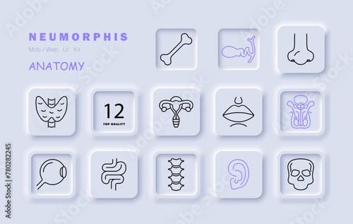 Organs set icon. Female reproductive organ, pelvis, skull, skeleton, bone, ear, intestinal tract, spine, vertebrae, eye, lips, mouth, nose, numbering. Self care concept. Vector line icon.