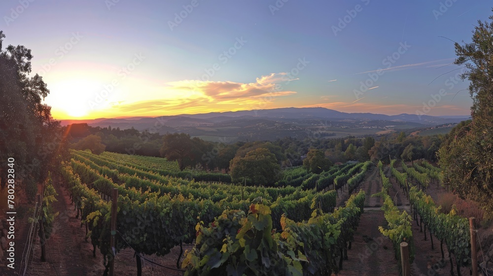 A panoramic view of a vineyard at sunset, emphasizing the beauty and romance of wine country.