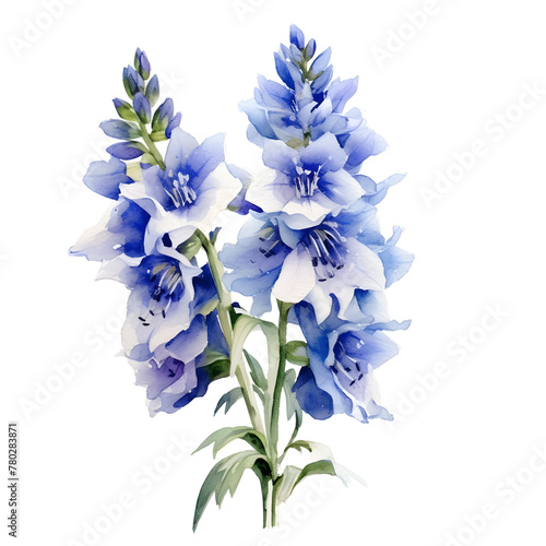 Beautiful watercolor blue larkspur flower isolated on transparent background. A beautiful vintage PNG illustration pattern design for card, home decor or wedding invitation photo