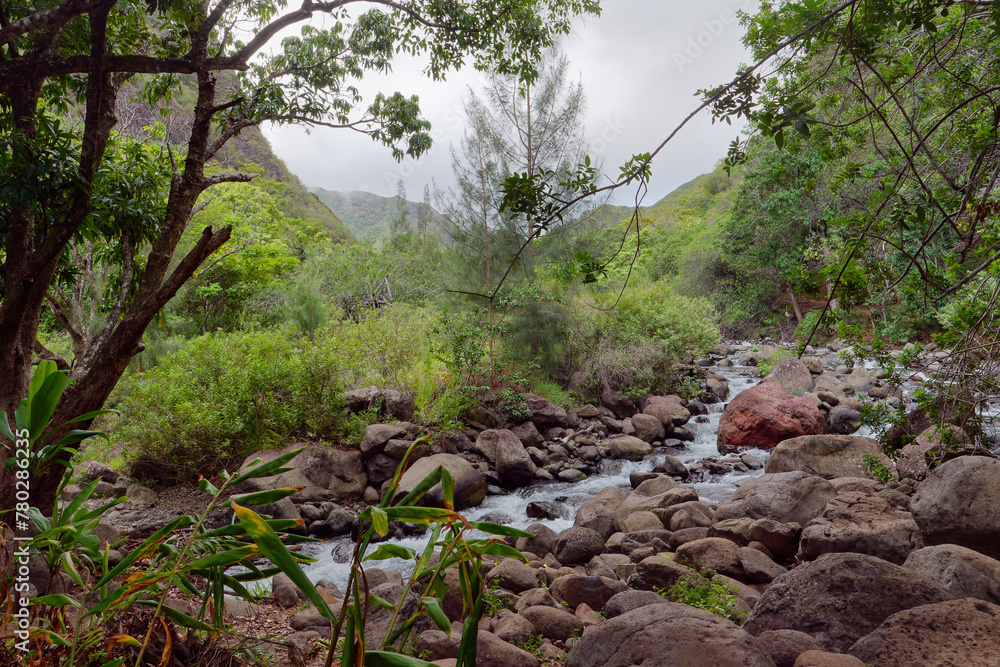 Low-angle view of a stream passing through beautiful Iao Valley State Monument on the island of Maui, Hawaii, USA Low-angle view of a stream passing through beautiful Iao Valley State Monument on the island of Maui, Hawaii, USA