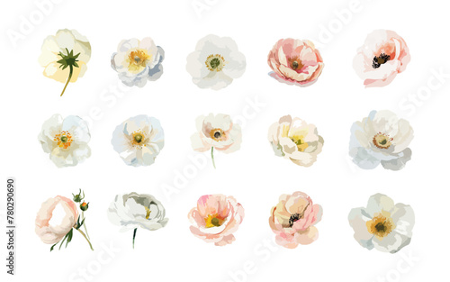 Set of soft spring flowers watercolor isolated on white background. Vintage nature floral decorative element for greeting, invitation, DIY. Vector illustration